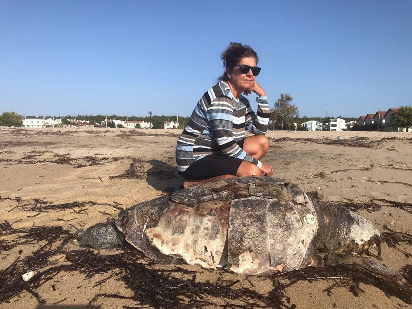 Edirne’de nesli tükenen canlılar arasında bulunana caretta caretta ölü olarak karaya vurdu! - Resim: 3