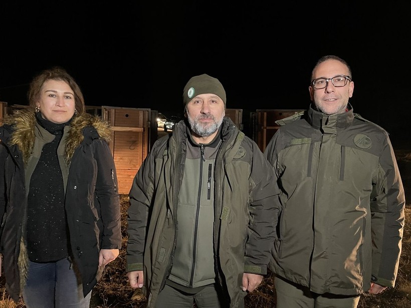 Salda Gölü çevresindeki ormana 6 kızıl geyik daha bırakıldı - Resim: 10