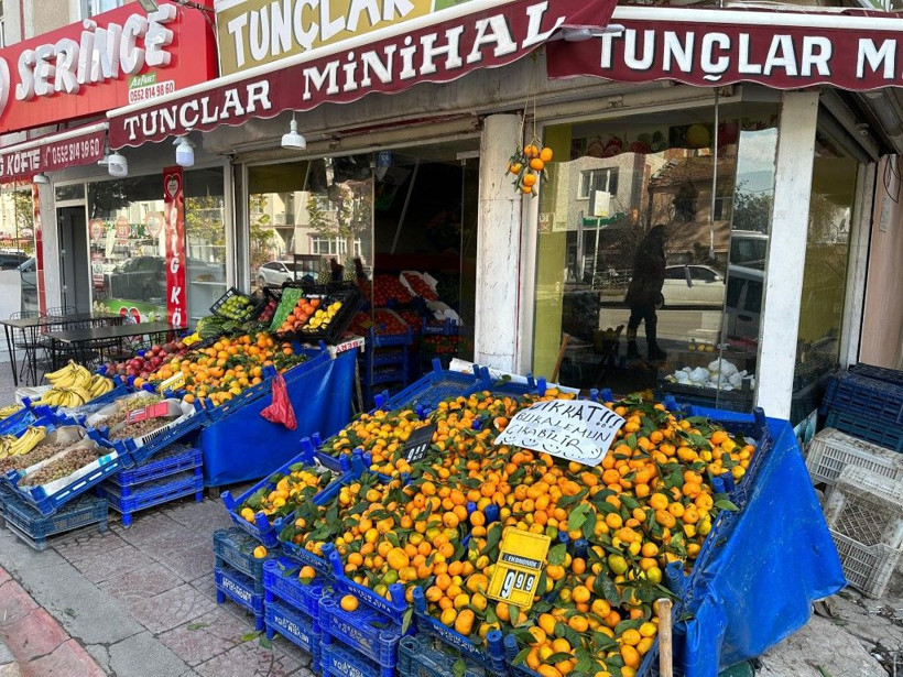 Manavdan aldığı mandalinaların arasında buldu! Yaprak zannetti bakın ne çıktı - Resim: 8