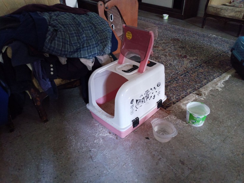 Sokakta üşüyen tüm kediler onun dükkanına sığınıyor - Resim: 5