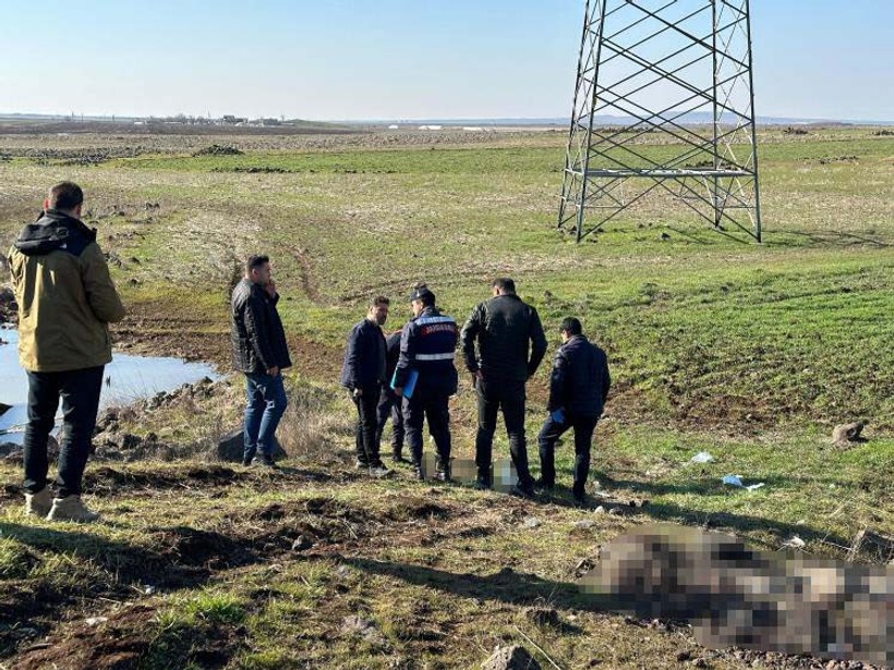 Diyarbakır'da sevgili vahşeti! Önce kız arkadaşının sonra kendi başına sıktı - Resim : 3