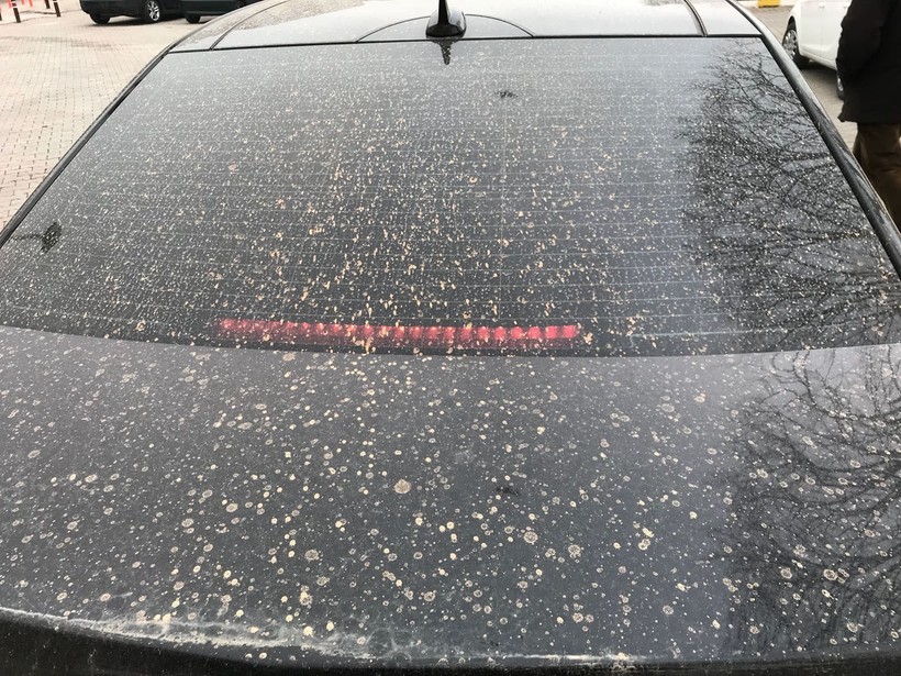Meteoroloji'den 5 bölge için sağanak ve toz taşınımı uyarısı! - Resim: 2
