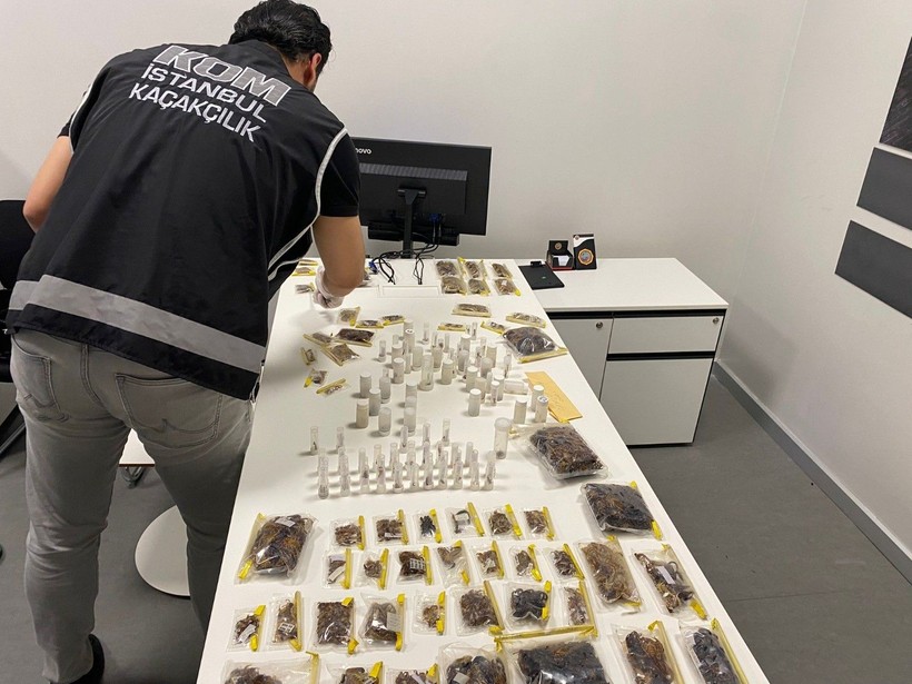 ABD'li müze müdürü tarantula ve akrep kaçakçılığı yaparken İstanbul Havalimanı'nda yakalandı - Resim: 13