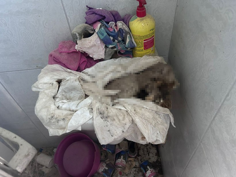 Kiracının çıktığı evden çıkanlar mide bulandırdı! Virane evden onlarca kedi ölüsü çıktı - Resim: 3
