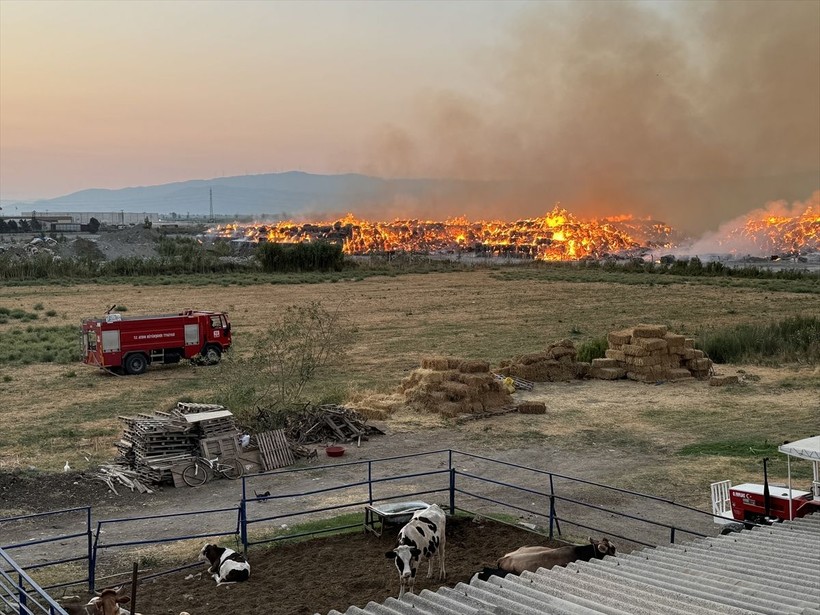 Aydın'da kağıt fabrikasında yangın - Resim: 5