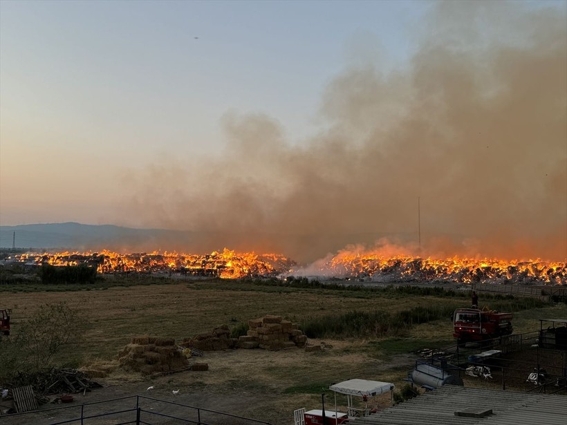 Aydın'da kağıt fabrikasında yangın - Resim: 14