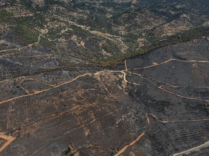 Orman yangınlarının ardından Ege'nin yeşilliği yerini griliğe bıraktı - Resim: 9