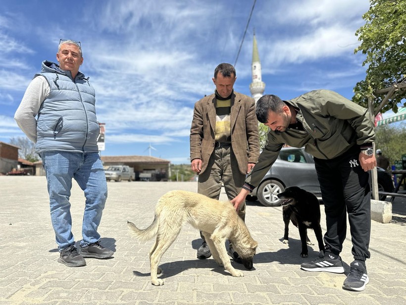 Köy kahvesinde bakılan köpeği bastonuyla darp etti; o anlar kamerada - Resim: 8