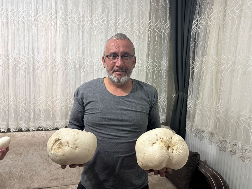 Ispartalı doğasever yürüyüş sırasında iki dev mantar buldu - Resim: 1