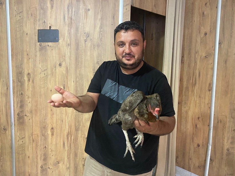 Tavuğun cesareti dönerciyi şaşkına çevirdi: Yumurtlamak için tavuk dönerciyi seçti - Resim : 2