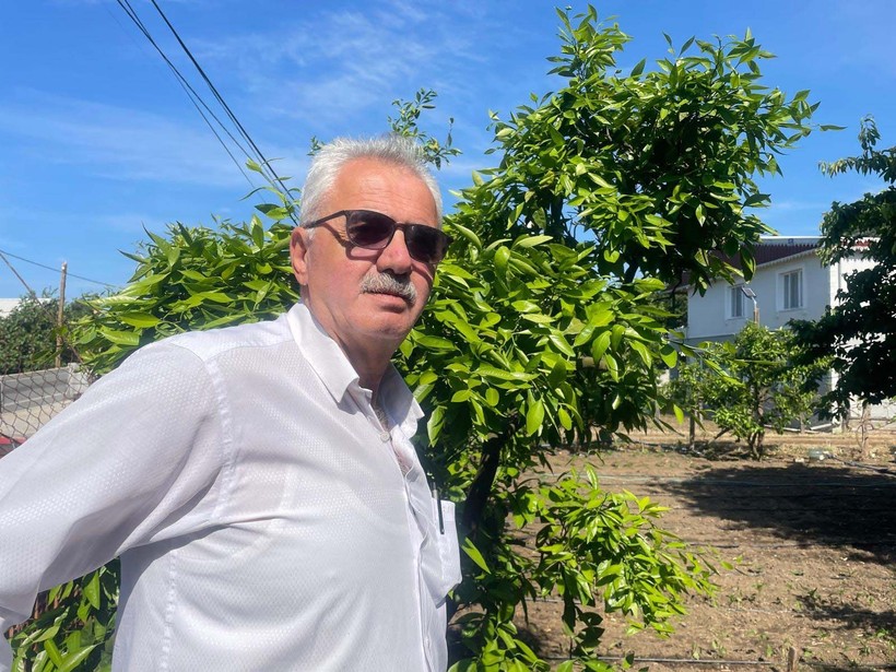 Bursa'da kahverengi kokarca çiftçinin kabusu oldu! Dut, erik ve kirazlarda zarar büyük🍒 - Resim: 1