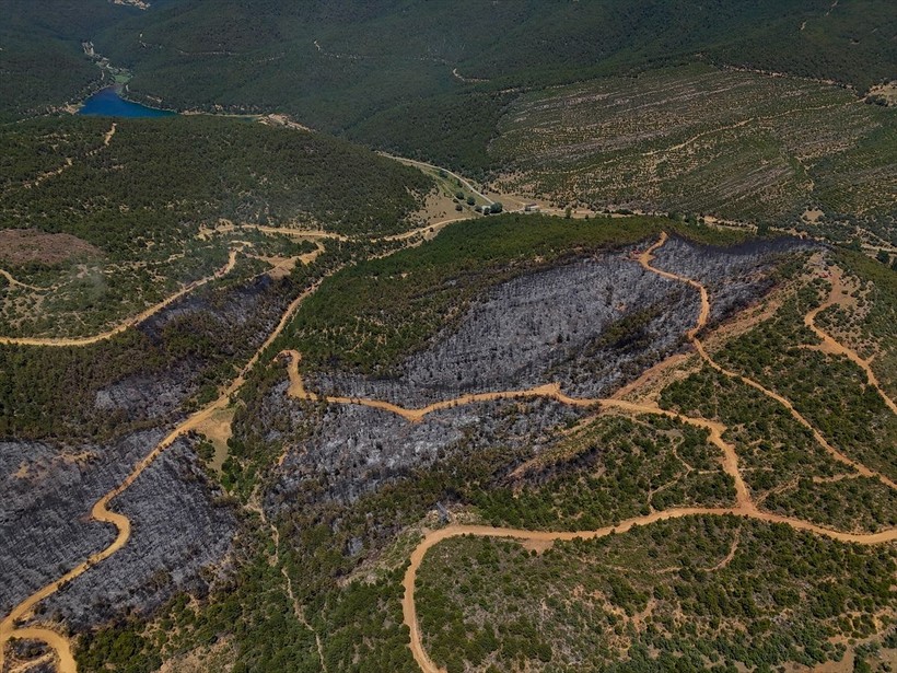 Uşak'ta orman yangınından etkilenen alanlar havadan görüntülendi - Resim: 6