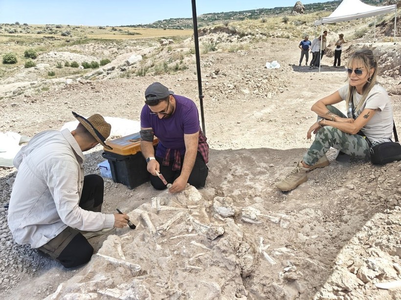 Anadolu’daki yaşam 7,7 milyon yıla ulaştı - Resim: 4