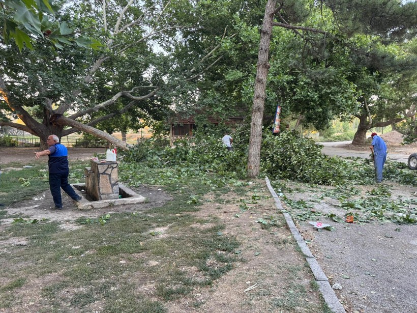 Dev ağaç dalı piknik yapan 11 kişiyi yaralandı! - Resim : 2