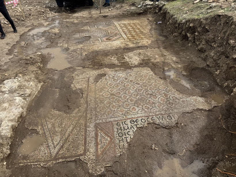 Diyarbakır'da mezar kazarken Roma dönemine ait mozaik bulundu - Resim: 7