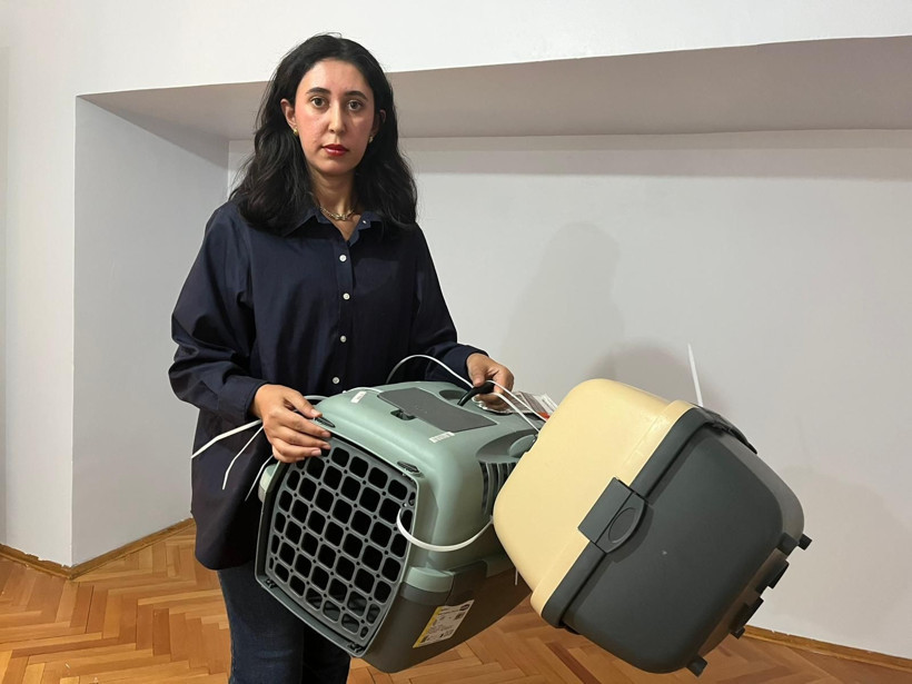 Tunus dönüşü uçakta kaybolan kedi için suç duyurusu - Resim: 7