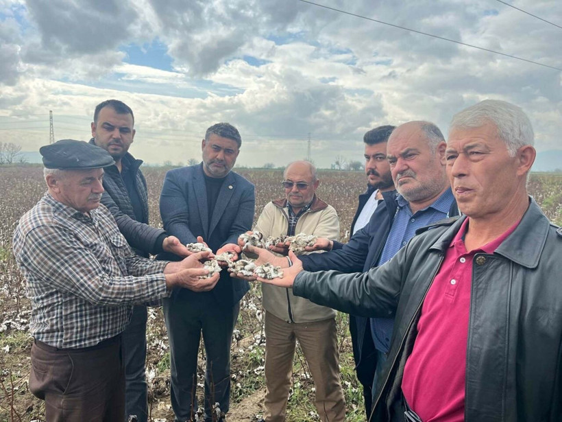 Aydın'da yağan ceviz büyüklüğündeki dolu pamuk tarlalarını talan etti - Resim: 10