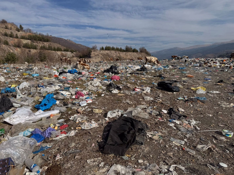 Ardahan'da tedirgin eden görüntü! Büyükbaş hayvanlar çöplükten beslenirken görüldü - Resim: 4