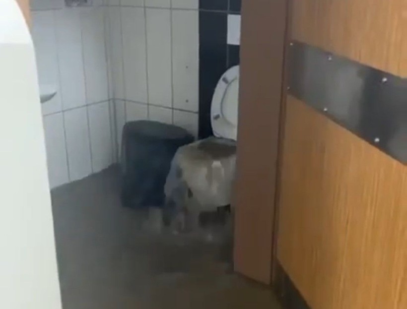 Şanlıurfa ve Adıyaman'da yaşanan yoğun yağışlar sele neden oldu: 16 vatandaşımız hayatını kaybederken 4 kişi hala kayıp - Resim: 22