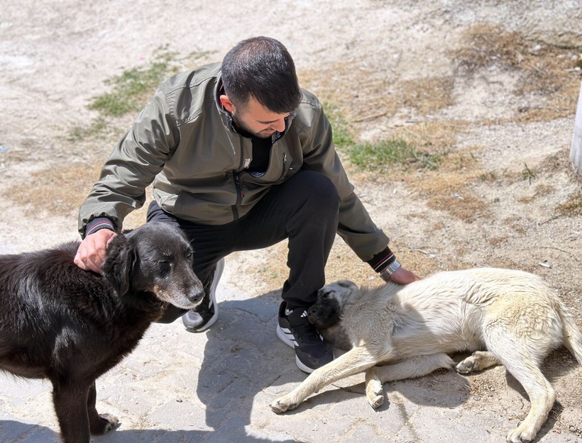 Köy kahvesinde bakılan köpeği bastonuyla darp etti; o anlar kamerada - Resim: 5