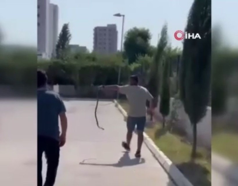 Araç muayenesinde yılan paniği! Eliyle tutup... - Resim: 2
