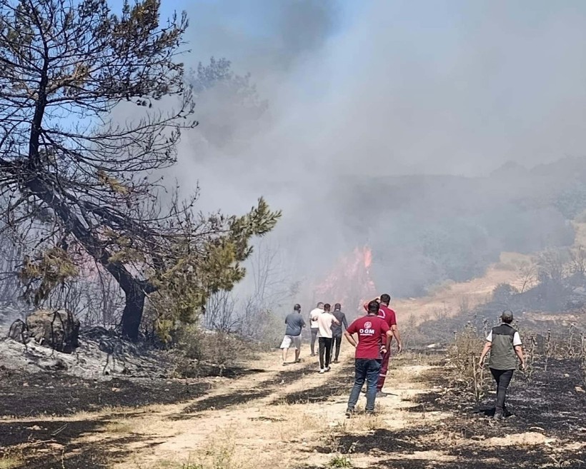 Semaver nedeniyle orman yangınına sebebiyet veren kadına ev hapsi cezası - Resim : 2