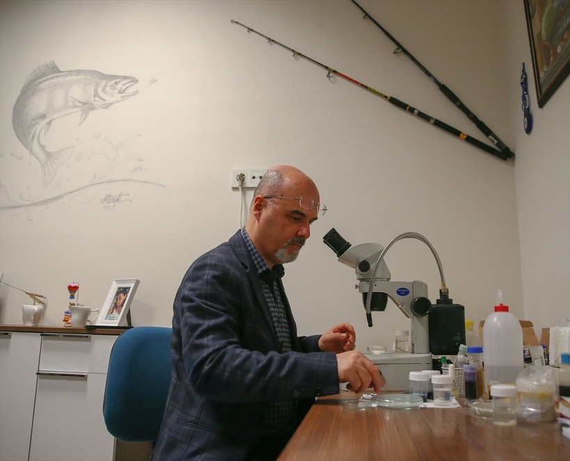 Türk bilim insanları o ilimizde keşfetti! Yeni canlı türü: Gammarus - Resim: 7