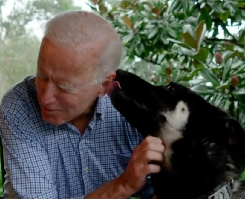 Beyaz Saray'da Biden'ın köpekleri krizi! - Resim: 13