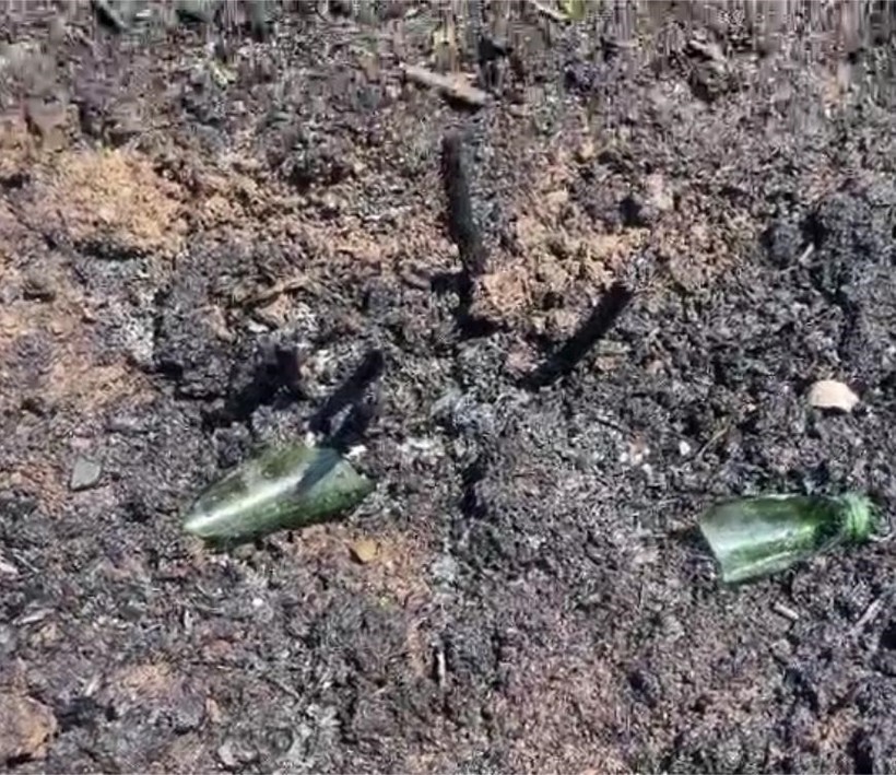Bahçeye atılan kırık şişe yangına neden oldu - Resim : 1