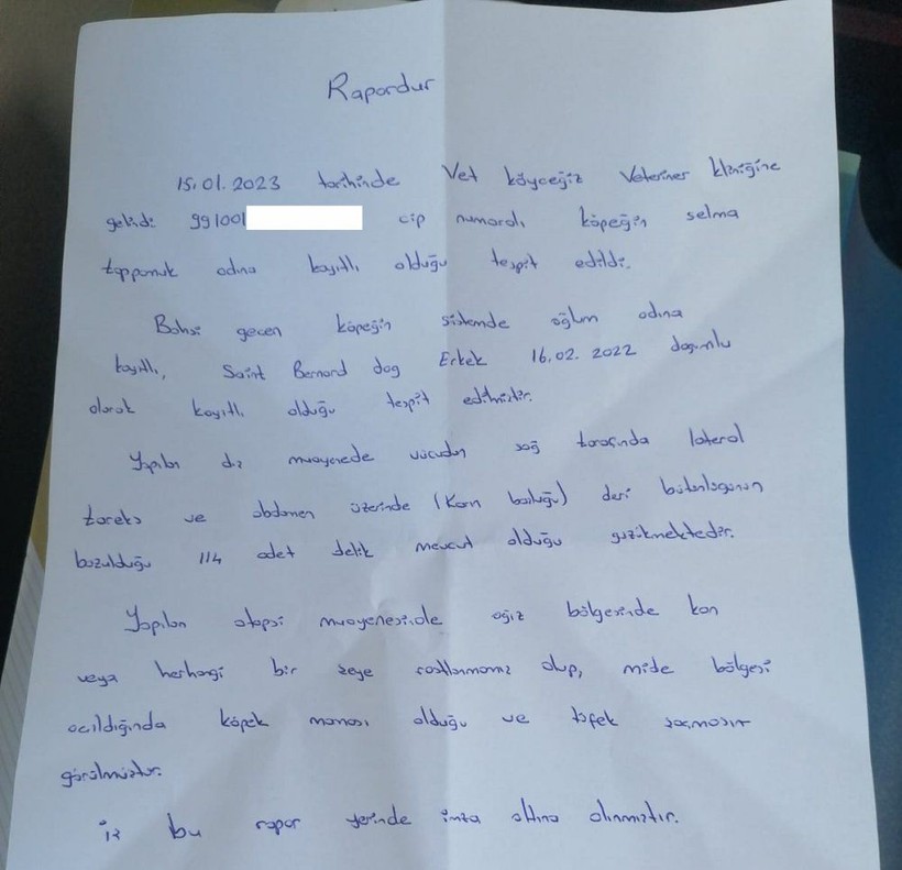 Muğla'da vahşet! Gezdirmeye çıkardığı köpeği silahla vurularak öldürüldü - Resim: 5