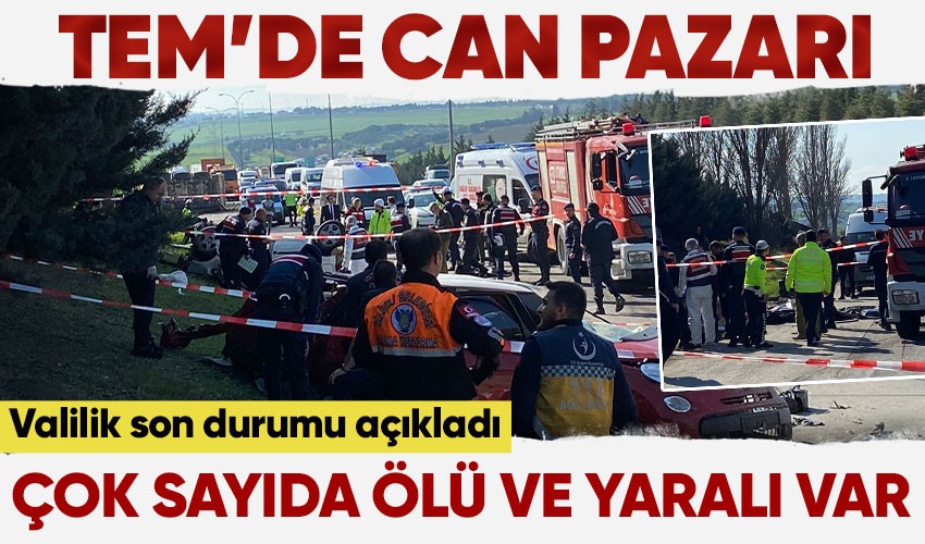 Son dakika! TEM'de zincirleme kaza: 6 ölü, 3 yaralı