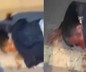 Dövüp bıçakladığı kişiyi videoya çekip yaptıklarını anlattı