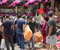 Başakşehir'de 100 TL kampanyası izdiham oluşturdu! Mağaza kapandı