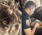 Yangının ortasında kalan kuş yuvasını kurtardılar