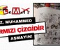Leman Dergisi bu karikatürü neden yaptı?