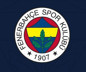Fenerbahçe'den Alanyaspor maçı için erteleme başvurusu