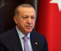 Cumhurbaşkanı Erdoğan: ''Hitler özentisi tiplerin kuyruk acısı belki de hiç geçmeyecek''
