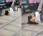 Osmaniye'de gözü dönmüş baba kızını tüfekle vurdu