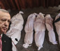 Cumhurbaşkanı Erdoğan'dan ABD'nin Gazze teklifine ilk tepki: Türkiye olarak sürece katkı vermeye devam edeceğiz