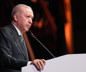 Cumhurbaşkanı Erdoğan: Türkiye'yi her alanda bir üst lige çıkardık