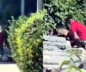 Avcılar Sahili’nde köpeğe şiddet kameralara yansıdı: Şüpheli gözaltına alındı